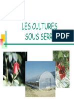 Cultures Sous Serre