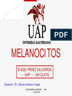 melanocitos-1213930648418605-9