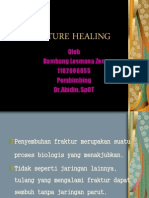 Fracture Healing Power Point