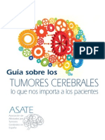 Guia Para Afectados Por Tumores Cerebrales