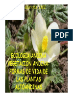 Altoandina Ecologia Andina