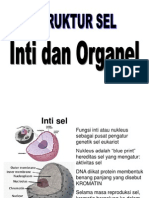 Inti Dan Organel 1