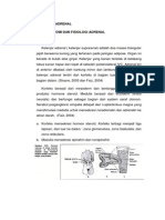 Adrenal