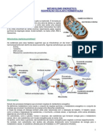 Mitocôndria e respiração