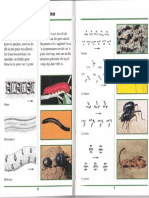 wild spore.pdf