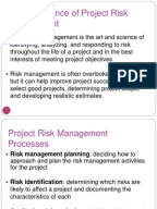 What is the importance of project risk management?