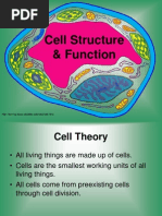 Cell Structure Function