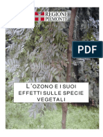 L'ozono e i suoi effetti sulle specie vegetali.pdf