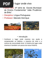 o Lugar Onde Vivo