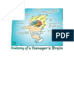 Teenage Boy's Brain