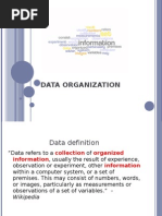 Data Organization