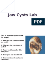 Jaw Cysts Lab