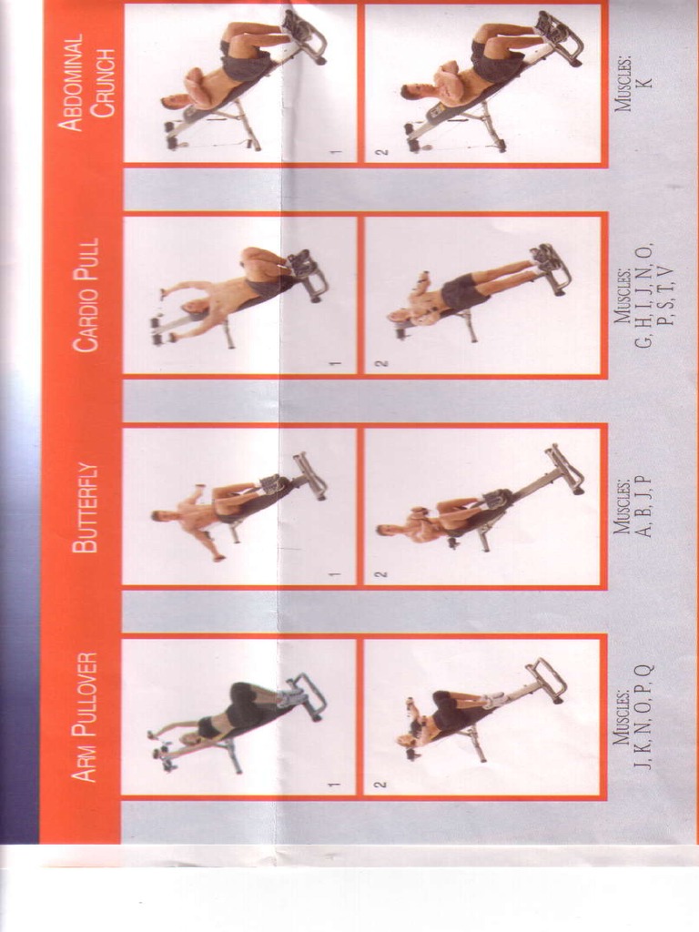 Weider Body Works Pro PDF