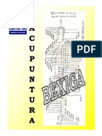 Bexiga PDF