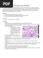 Download How Can Blood diseases Be Identified by llatham SN16802348 doc pdf