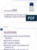 GLUCOLISIS1