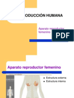 Aparato reproductor femenino (1)