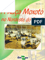 A raca Moxotó no Nordeste do Brasil.