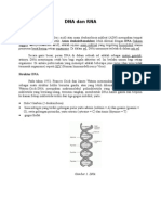 Download tgs DNA dan RNA by Fadhli SN16805831 doc pdf