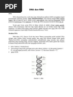 Download tgs DNA dan RNA by Fadhli SN16805831 doc pdf