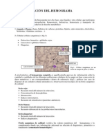 Interpretacion Del Hemograma