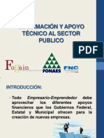 Información y Apoyo Técnico Al Sector Publico