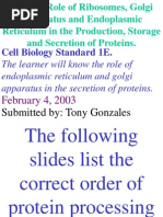 Cell Biology Standard 1E