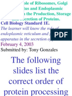 Cell Biology Standard 1E