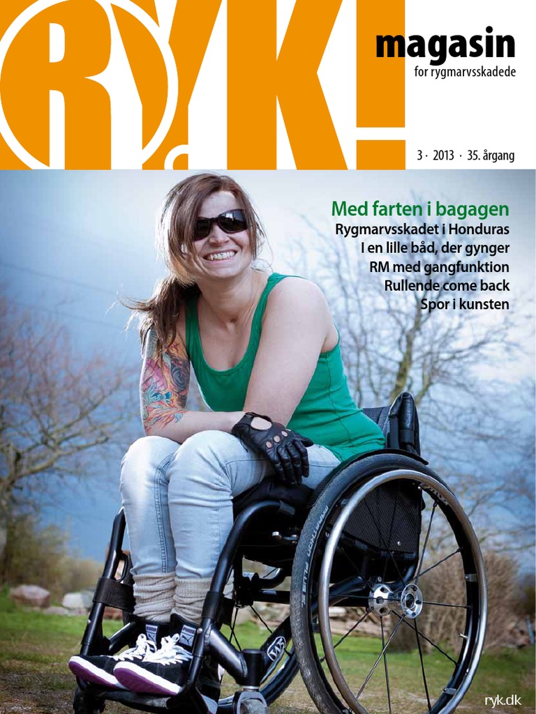 Ryk!3 2013 | PDF