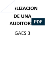 Realizacion de Una Auditoria (2)