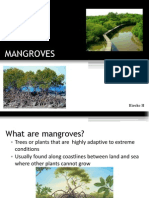 MANGROVES PRESENTATION