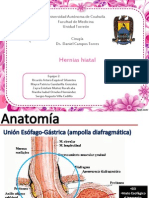 Hernia Hiatal