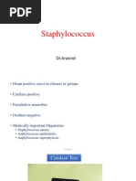 Download Staphylococcus Staphylococcus aureus Staphylococcus epidermidis and Staphylococcus saprophyticus by drparachuru SN168214429 doc pdf