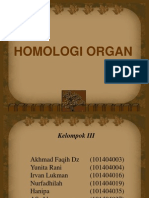Homologi Organ PDF