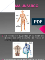 Sistema Linfático