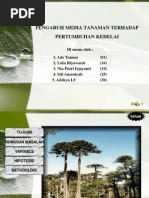 Download Pengaruh Media Tanam Terhadap Pertumbuhan kacang hijau by Noer Roman SN168282740 doc pdf