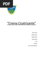 INFORME DE CREMA CICATRIZANTE.docx