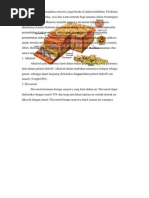 Download fitokimia kunyit by Alvian Vian SN168294350 doc pdf