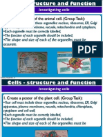 Cell Structure and Function