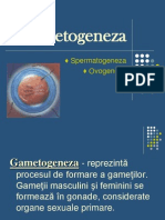 Gametogeneza