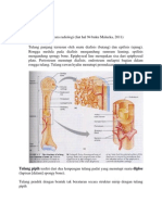 Tugas Radiologi