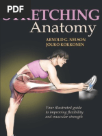 stretching anatomy
