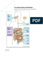 Anatomi Histologi Cavum Oris