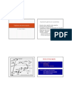 Factores de Transcripcion A