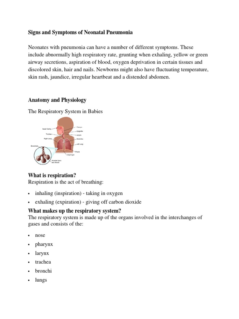 Signs and Symptoms of Neonatal Pneumonia Respiratory Tract Lung