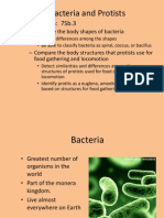 Bacteria