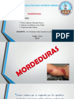 Mordedura S