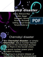 Chernobyl Disaster