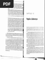 Papeis e Liderancas Zimerman05-09