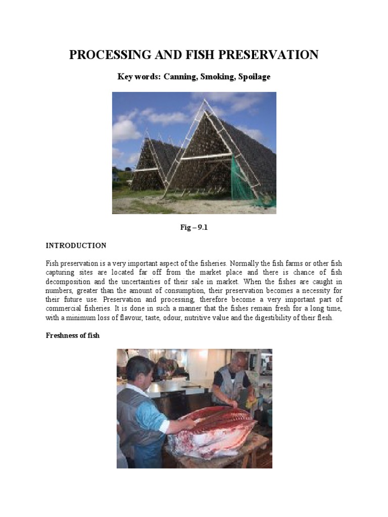 Processing and Fish Preservation | PDF | Ice | Food Preservation